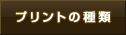 �v�����g�̎��